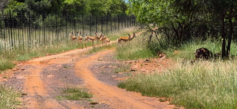 5 Bedroom Property for Sale in Rustenburg Rural North West